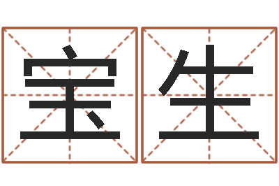 李宝生五行八字算命取名字-星座神煞
