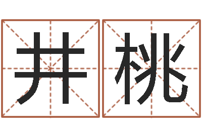 潘井桃姓名而-易经风水预测网