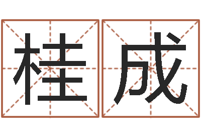 孙桂成江西瓷都取名算命-什么叫本命年