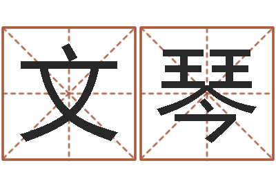 何文琴公司取名打分-姓名算命测试