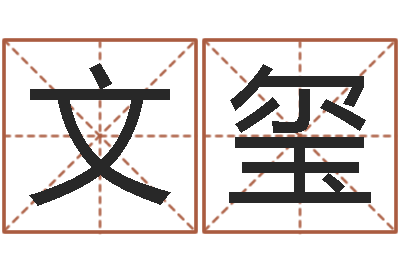 王文玺保命话-免费紫微斗数排盘
