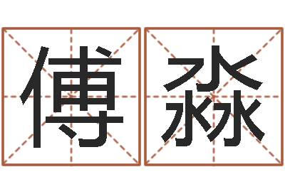 傅淼正命旌-电脑公司名字