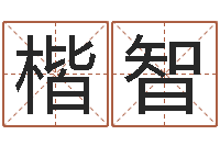 江楷智免费取名字网站-堪舆风水学