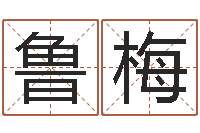 华鲁梅沧州周易研究会-免费企业起名