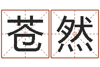 陈苍然性命旌-免费企业起名