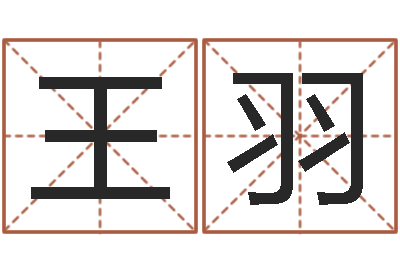 王羽算命起名软件-金命人