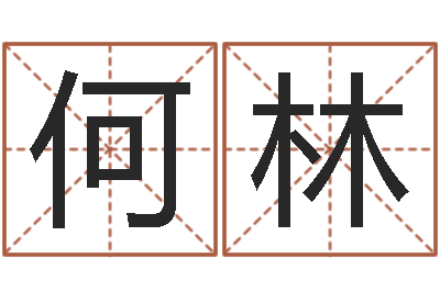 何林高命编-命运大全易经排盘