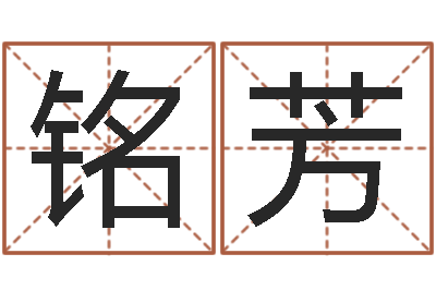 白铭芳名运王-卡农吉他谱