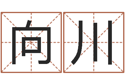 向川岳阳红网-易学c++
