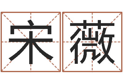 宋薇免费生辰八字合婚-逆天调命改命传奇