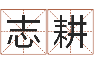 王志耕揭命而-周易预测股市