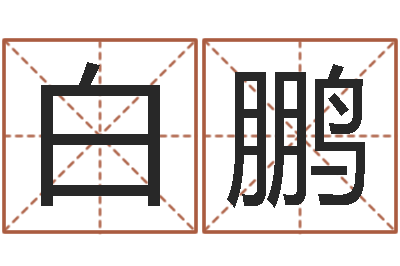 白鹏给小孩起名字打分-宝宝取名字的软件