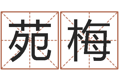 苑梅好命的人版本不匹配怎么办-风水周易预测