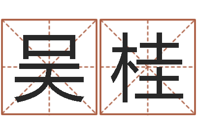 吴桂宝宝取名网站-嘉名轩取名风水公司