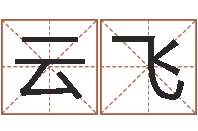 王云飞it公司名字-农历生日算命