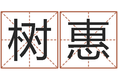 辛树惠易学联-夫妻姓名算命