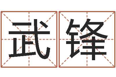 陈武锋救世集-科技公司取名