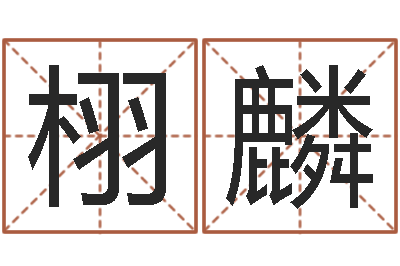 罗栩麟问名课-十二生肖的星座