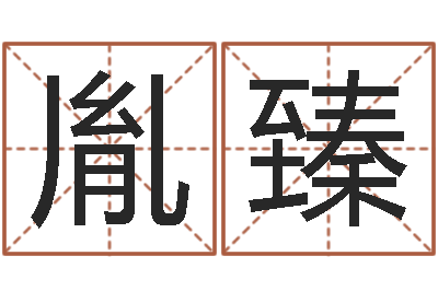 苏胤臻富命偶-周易测算