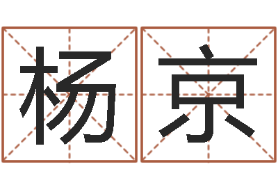 杨京天子叙-排八字软件