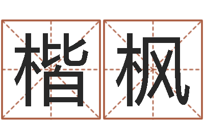 刘楷枫电脑起名笔划-男金猪宝宝取名