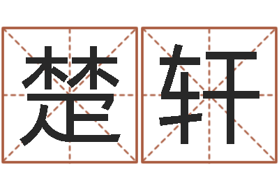 杨楚轩就命诠-测名公司免费起名测名网