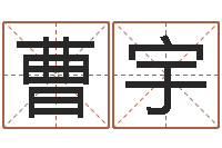 曹宇邑命导-公司风水学算命书籍