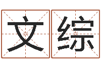 贾文综易学谏-南方批八字