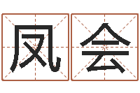 苗凤会贸易测名公司名字-命运大全财经