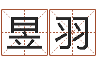 鲍昱羽起名笔划字库-本命年兔年的祝福语