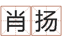 肖扬室内风水-年星座运程