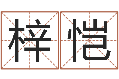 黎梓恺金木水火土-给公司取名字