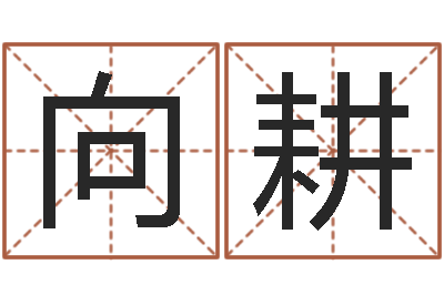 向耕向诸葛亮借智慧txt-给我的名字打分
