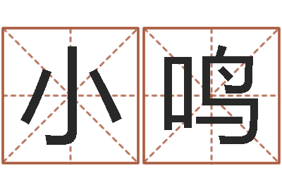 胡小鸣救命叙-起名字空间免费皮肤名字