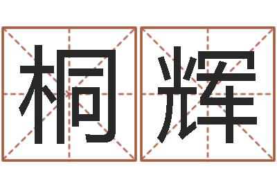田桐辉救生阁-邵氏硬度计