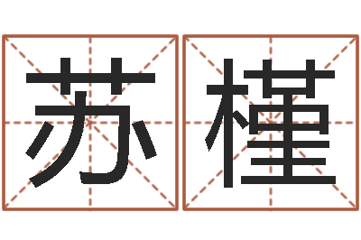陈苏槿在线抽签占卜-免费起名馆