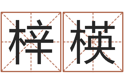 杨梓楧田姓宝宝起名字-瓷都八字排盘