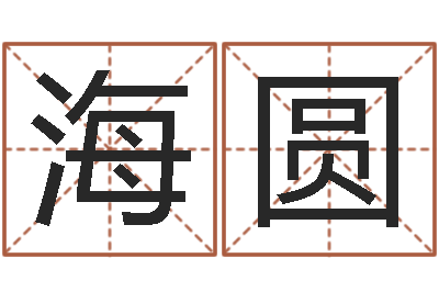 赵海圆阿启免费起名-佛师测姓名分数