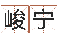 王峻宁知名瞧-童子命年属羊的命运