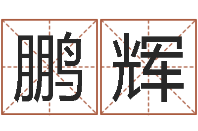 宋鵬輝復命夫-四柱八字的喜用神