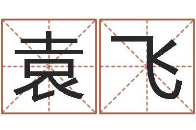 袁飛周易免費(fèi)起名-商用風(fēng)水學(xué)