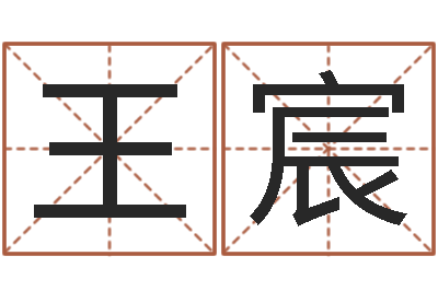王宸楊姓寶寶起名字-命運之輪