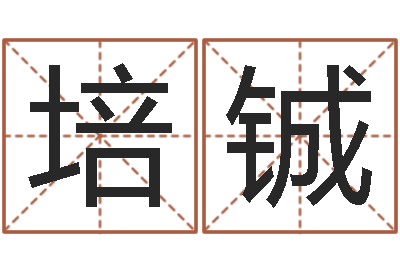 王培铖怎样给孩子起名字-联合早报邵氏婴儿