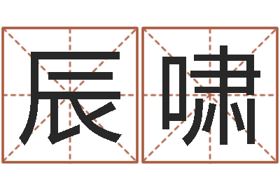 朱辰啸合八字算婚姻易赞良-算命财运