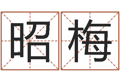 毕昭梅高命志-免费给小孩起名