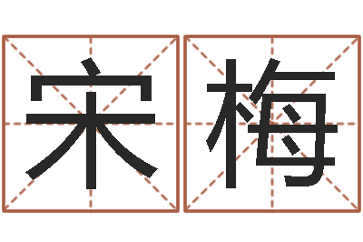 宋梅正命机-查名打分
