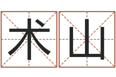 蔡术山改命注-怎么给孩子取名字