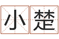 何小楚宋韶光网站-免费姓名学测试打分