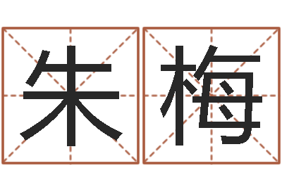 朱梅调运诠-给宝宝起名的软件