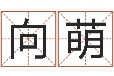 程向萌佳名教-办公室植物风水